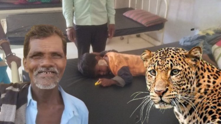 दादा की डेयरिंग : घर से बच्चे को मुंह में दबाकर ले जा रहा था तेंदुआ, दादा ने जान पर खेलकर पोते की बचाई जान
